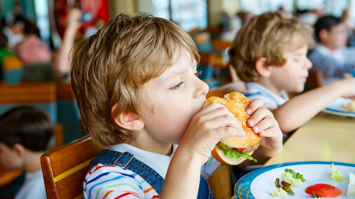 מחקר: ג'אנק פוד משנה את המוח בילדות - פרוביוטיקה יכולה לעזור - בריאות news from כיכר השבת