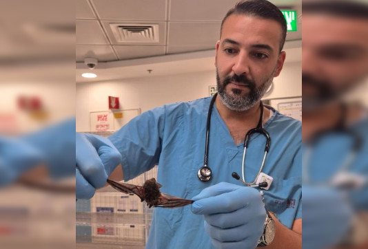 Photo: כיכר השבת Une rencontre fortuite dans le système de climatisation